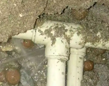 嘉禾测漏水多少钱