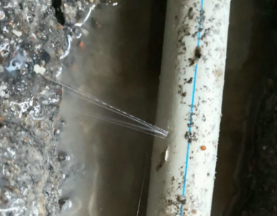 嘉禾测漏水哪家好