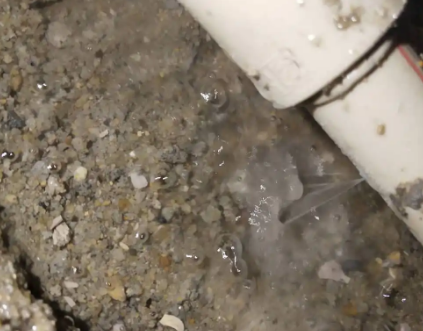 嘉禾测漏水电话号码