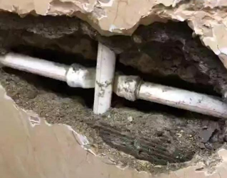 嘉禾测漏水哪家好