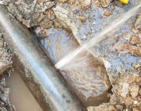 嘉禾测漏水公司