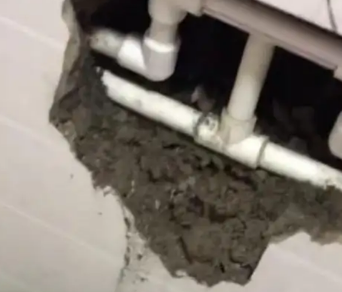 嘉禾漏水检测电话