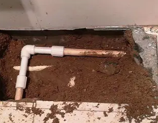 嘉禾测漏水哪家好