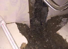 嘉禾卫生间测漏水哪家好