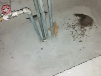 嘉禾卫生间测漏水价格明细