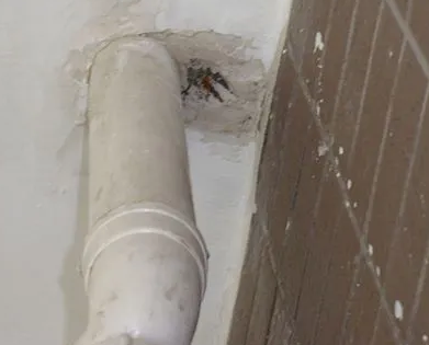 嘉禾漏水检测哪家好